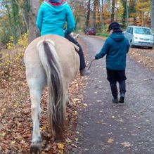 Ergotherapiepraxis Schönberg Antje Rieck Reittherapie und Reitpädagogik 09