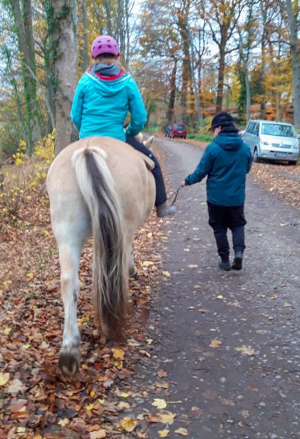 Ergotherapiepraxis Schönberg Antje Rieck Reittherapie und Reitpädagogik 09