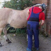 Ergotherapiepraxis Schönberg Antje Rieck Reittherapie und Reitpädagogik 03