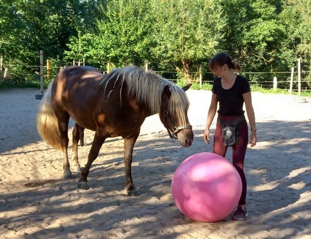 Ergotherapiepraxis Schönberg Antje Rieck Reittherapie und Reitpädagogik 09