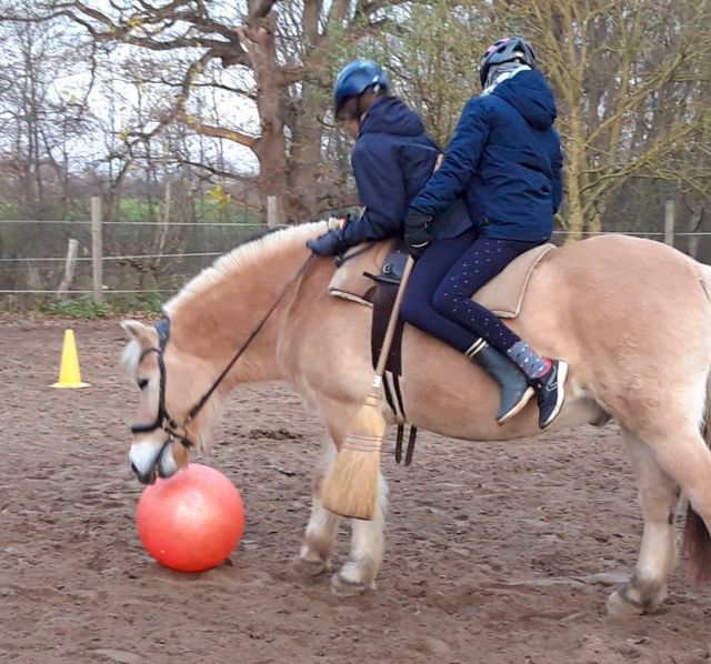 Ergotherapiepraxis Schönberg Antje Rieck Reittherapie und Reitpädagogik 02