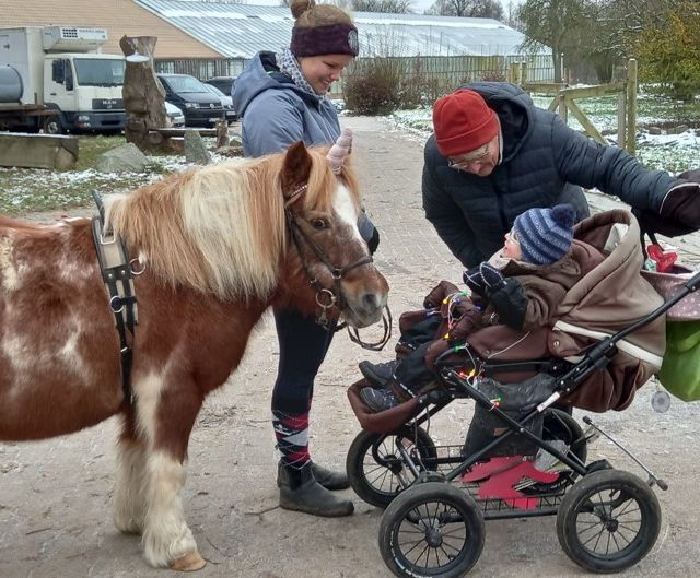 Ergotherapiepraxis Schönberg Antje Rieck Reittherapie und Reitpädagogik 09